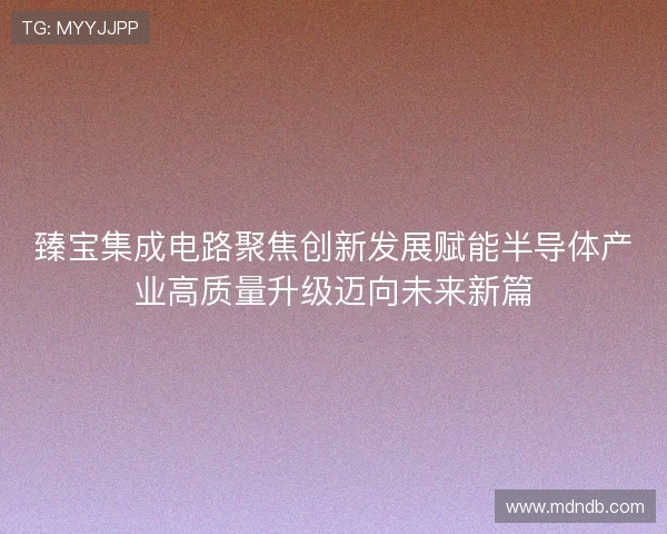 臻宝集成电路聚焦创新发展赋能半导体产业高质量升级迈向未来新篇